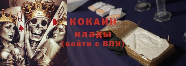 стаф Алзамай