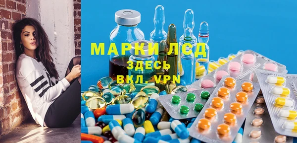 стаф Алзамай