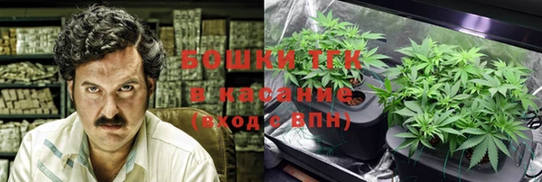 ECSTASY Липки
