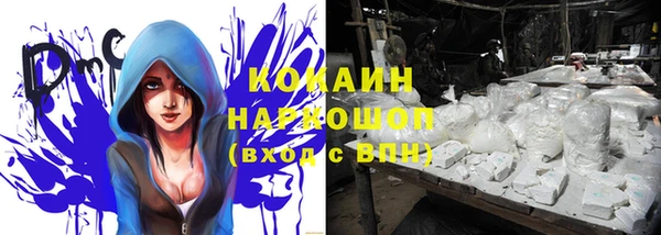 стаф Алзамай