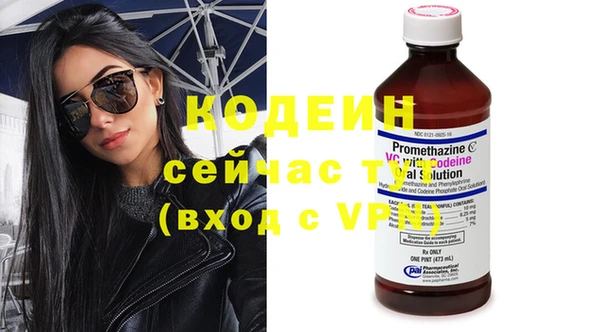 прущие грибы Алексеевка