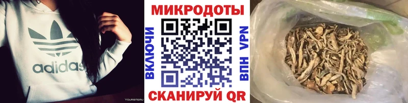 Псилоцибиновые грибы Psilocybe  Ставрополь 