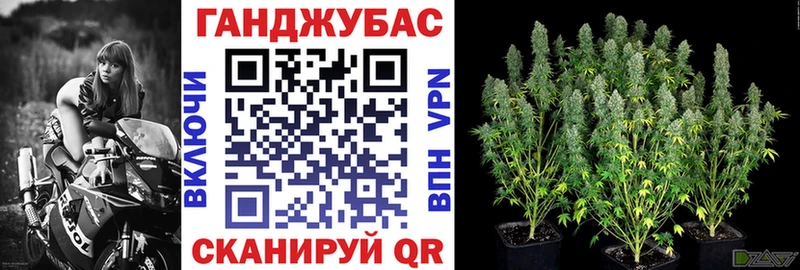 Конопля гибрид  Ставрополь 